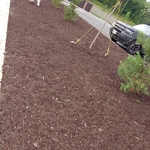 Mulch