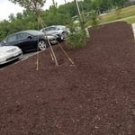Mulch