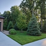Lawn Care