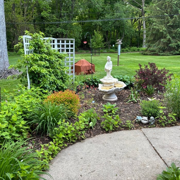 Lawn Care