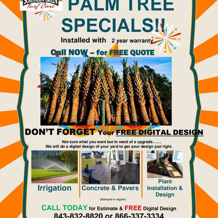 Palm Tree Specials