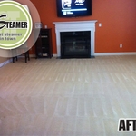Carpet Cleaning 2