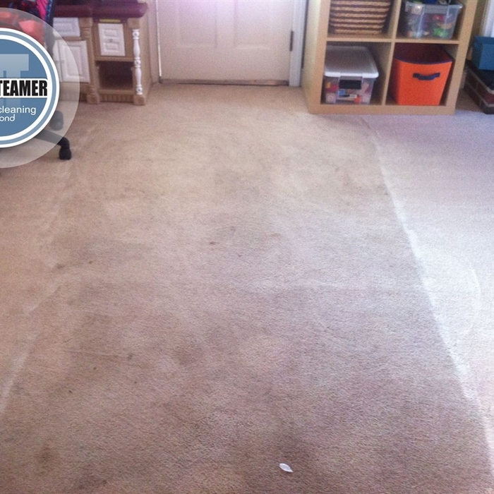 Carpet Cleaning 1