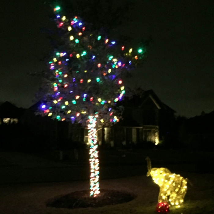 Additional Photos