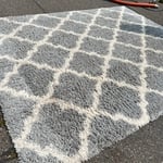 Rug cleaning