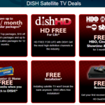 Dish Options