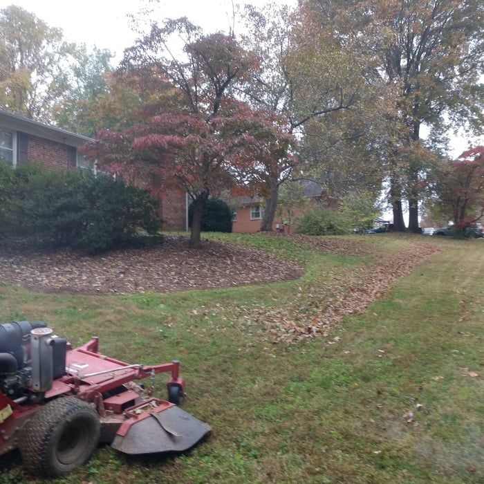 Additional Photos