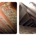 Before and After Mold Remediation