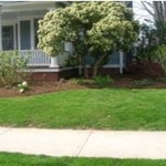 Lawncare Services