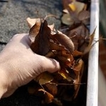 Household Projects
