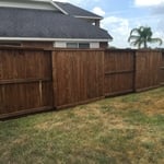 Stained Fence