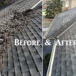 Gutter Cleaning