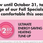 Fall Specials