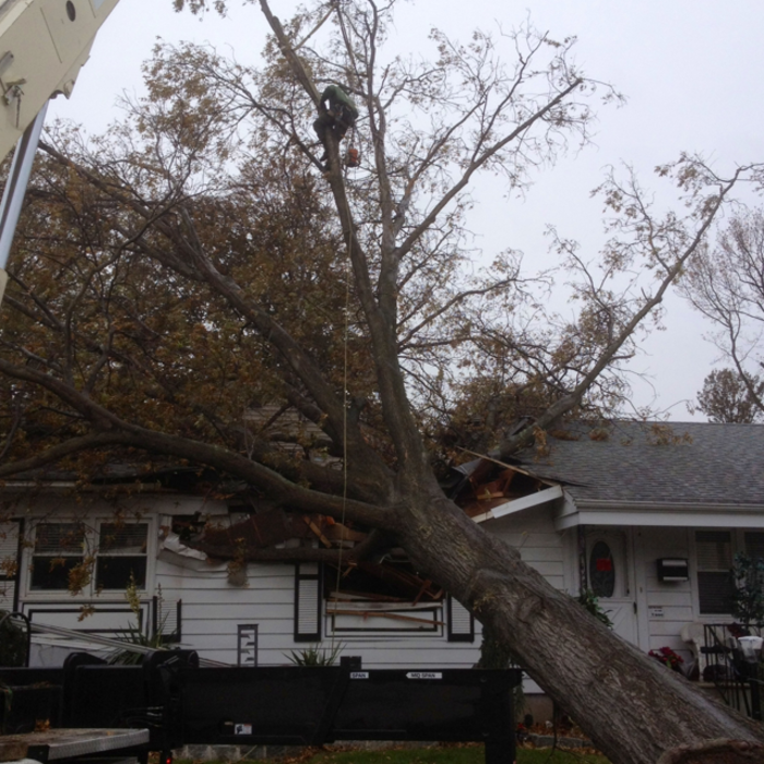 Additional Photos