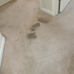 Carpet Before