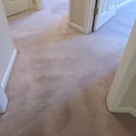 Carpet After