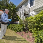 Mosquito Reduction Program