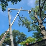Craine and bucket truck working together.