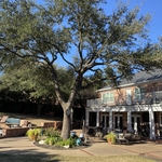 Tree trimming Waco TX