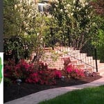 Beautify your yard