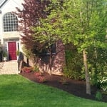 Beautify your yard