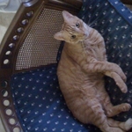 Look how clean this chair is!