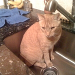 I just cleaned this sink, inspection is important!
