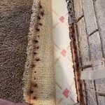 Wet Carpet
