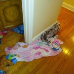 Wet hardwood floor