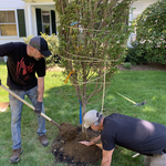 Additional Photos