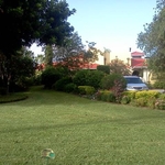 Pic # 2