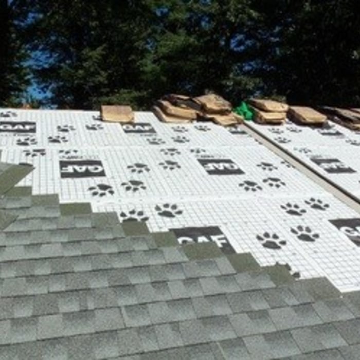 Additional Photos