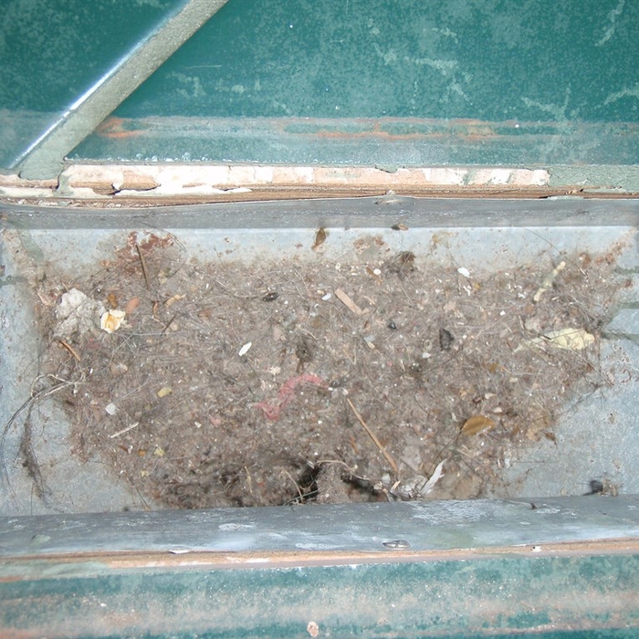 Blocked Ducts