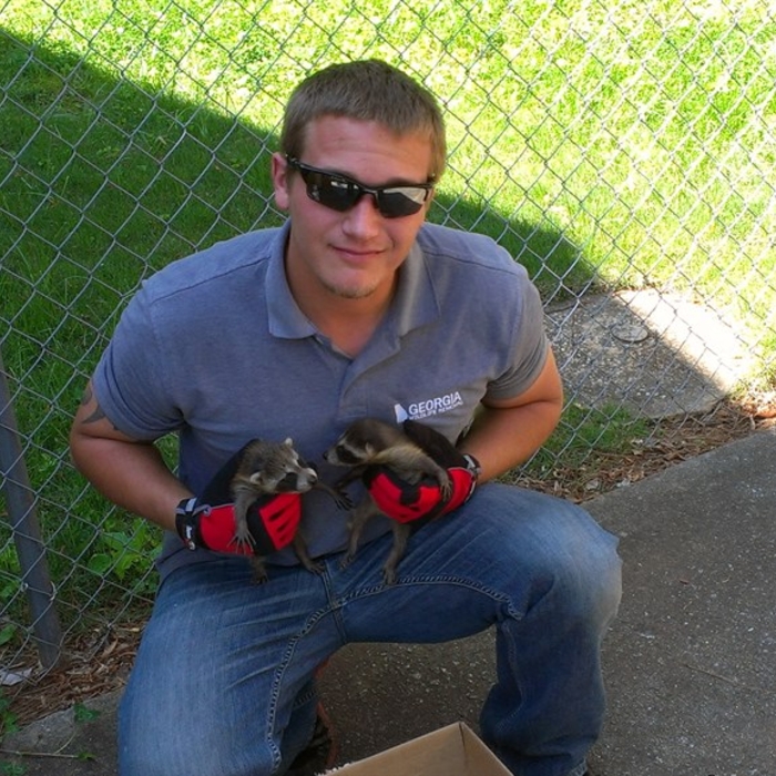 Baby Raccoons