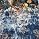 Our rug washing plant.