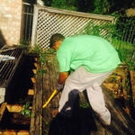 Trash N Dash Deck Demolition 1