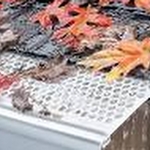 Leaf Guards
