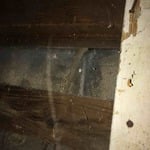 termite shelter tube entering sill plates