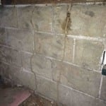 termite tubes in crawl space