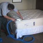 Mattress and Carpet Cleaning