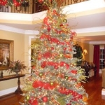 Oh Christmas Tree