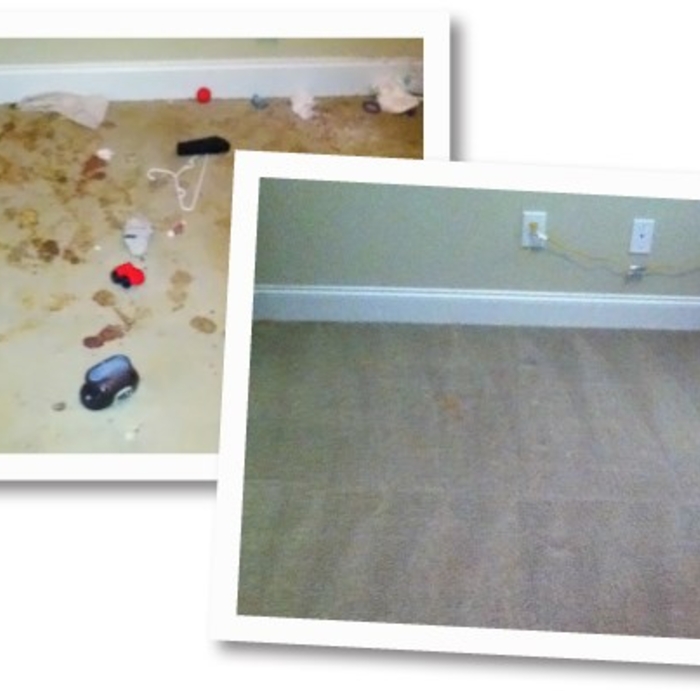 Additional Photos