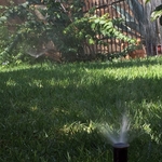 Lawn Irrigation