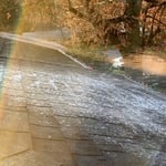 Roof Moss Removal, Roof Moss Treatment and Roof Moss Wash