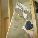 Mold Removal