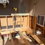 Mold Removal.