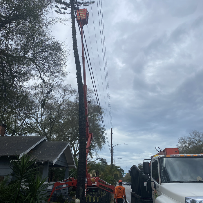 Additional Photos