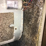 moldy Hvac system