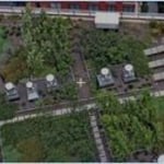 Green Roofing