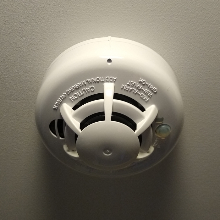 2 Gig Smoke Detector